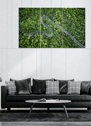 Aerial view of a road in the middle of the forest AOA13020 {x3}