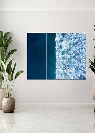 Beautiful Winter background Forest and Ocean AOA13013 {x3}