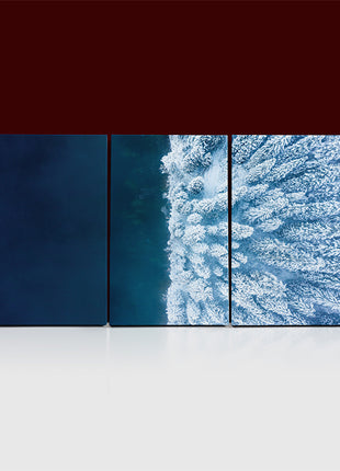 Beautiful Winter background Forest and Ocean AOA13013 {x3}