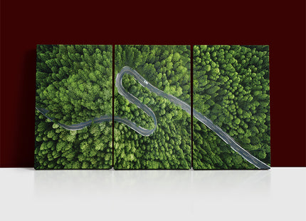 Aerial view of a road in the middle of the forest AOA13020 {x3}