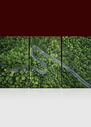 Aerial view of a road in the middle of the forest AOA13020 {x3}
