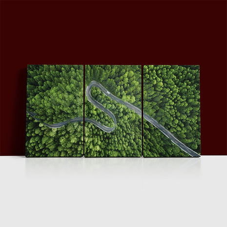 Aerial view of a road in the middle of the forest AOA13020 {x3}