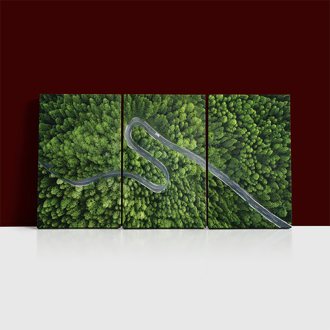 Aerial view of a road in the middle of the forest AOA13020 {x3}