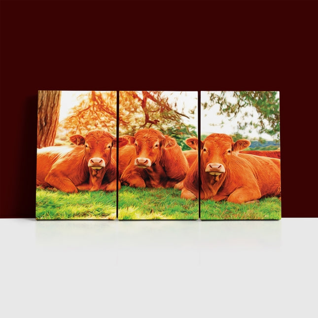 closeup of tree cows lying on the green grass Arted AOA13135 {x3}