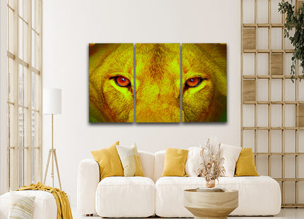 female lion eyes close up arted AOA14295 {x3}