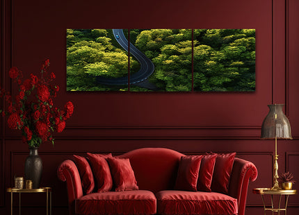 Beautiful aerial view of street between large trees from top AOA13004 {3x}