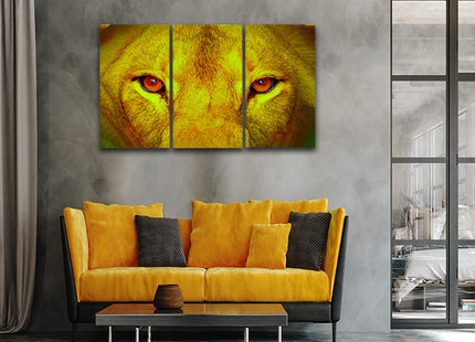 female lion eyes close up arted AOA14295 {x3}