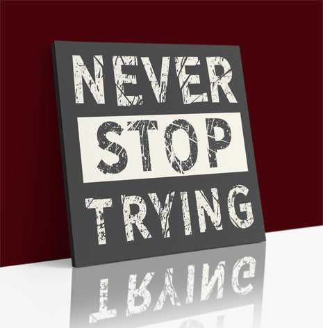 Never Stop Trying AOA14191