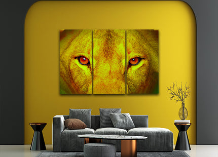 female lion eyes close up arted AOA14295 {x3}
