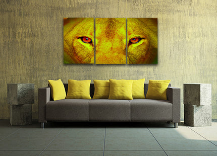 female lion eyes close up arted AOA14295 {x3}