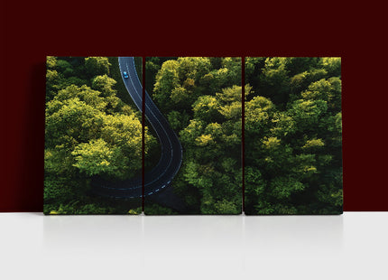 Aerial view of street between large trees from top AOA13004 {3x}