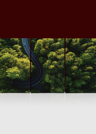 Aerial view of street between large trees from top AOA13004 {3x}