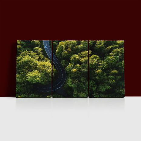 Aerial view of street between large trees from top AOA13004 {3x}