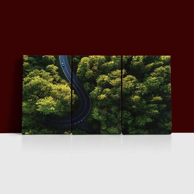 Aerial view of street between large trees from top AOA13004 {3x}