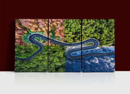 curved highway trough the forest Winding road four seasons AOA13007 {3x}