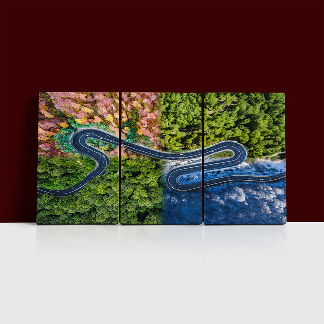 curved highway trough the forest Winding road four seasons AOA13007 {3x}