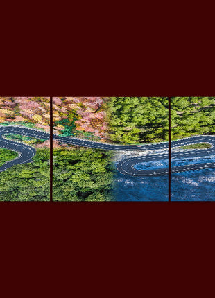 curved highway trough the forest Winding road four seasons AOA13007 {3x}