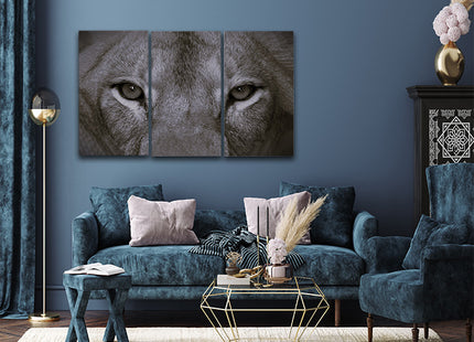 a perfect female lions close up eyes in black and white AOA14297 {x3}