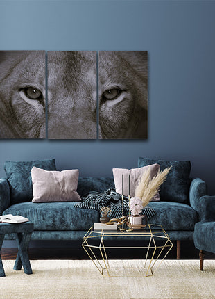 a perfect female lions close up eyes in black and white AOA14297 {x3}