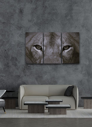 a perfect female lions close up eyes in black and white AOA14297 {x3}