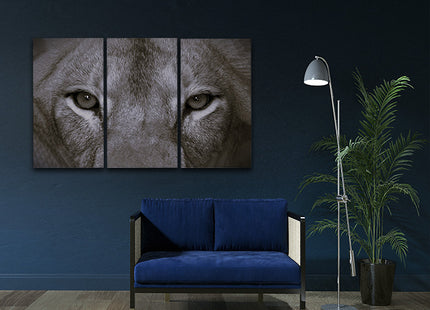 a perfect female lions close up eyes in black and white AOA14297 {x3}
