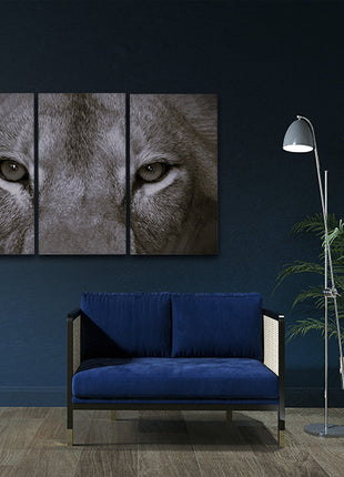 a perfect female lions close up eyes in black and white AOA14297 {x3}