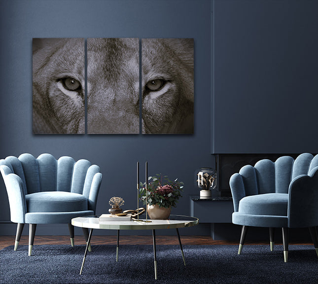 a perfect female lions close up eyes in black and white AOA14297 {x3}