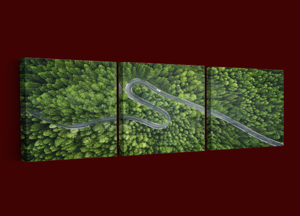 Aerial view of a road in the middle of the forest AOA13020 {x3}