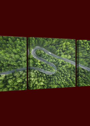 Aerial view of a road in the middle of the forest AOA13020 {x3}