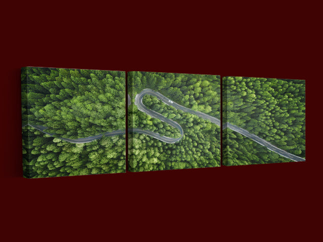 Aerial view of a road in the middle of the forest AOA13020 {x3}