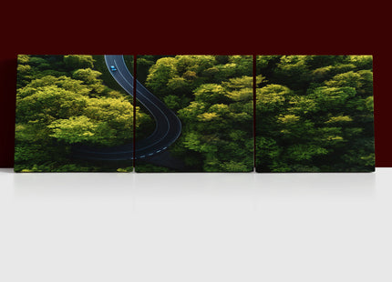 Beautiful aerial view of street between large trees from top AOA13004 {3x}