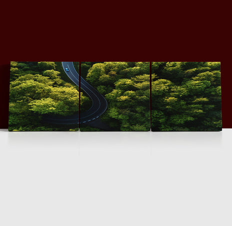 Beautiful aerial view of street between large trees from top AOA13004 {3x}
