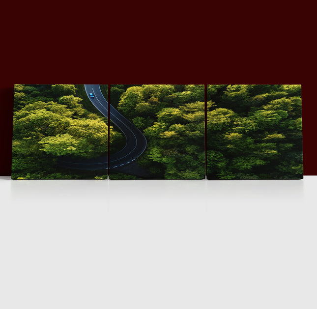 Beautiful aerial view of street between large trees from top AOA13004 {3x}